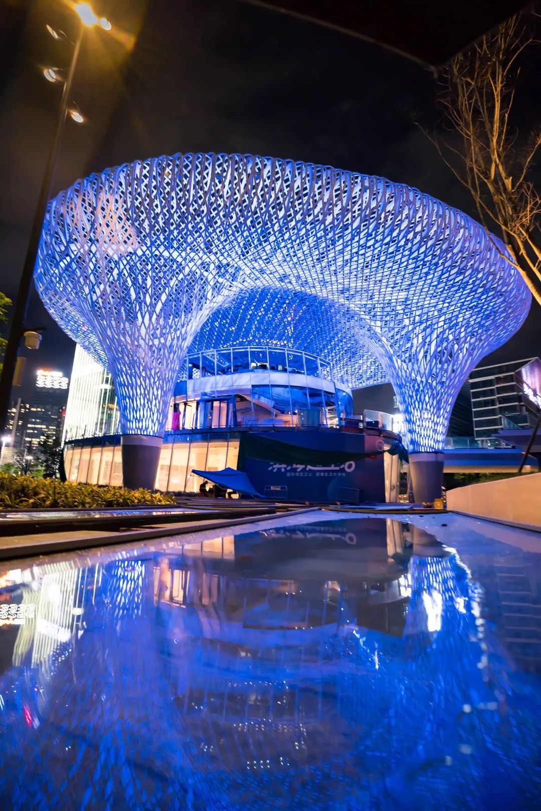 ③「海上夜景」近海是寶安濱海文化公園的特點一到晚上,涼風習習很